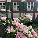 Daire Ickelhaus 2 Bad Windsheim