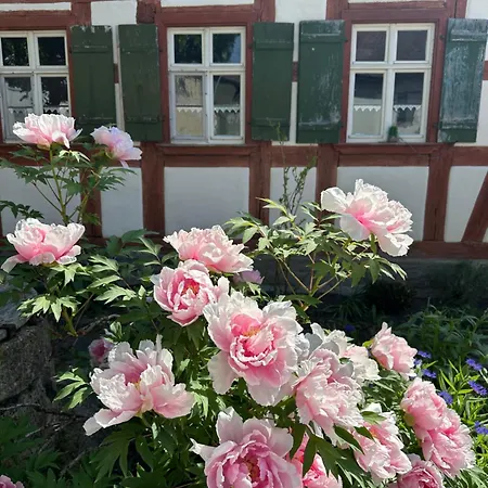 Lejlighed Ickelhaus 2 Bad Windsheim